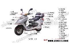 上海市明华电动车批发 红双喜庆贺马助力车配件供应